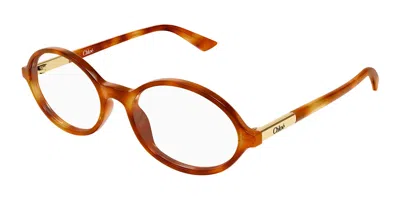 Chloé Ch0367o Women's Glasses, Tortoiseshell, Size 54 In Brown