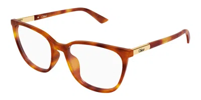 Chloé Ch0370ol Asian Fit 007 Women's Glasses Tortoiseshell Size 56 - Free Lenses - Blue Light Block Availa In Purple