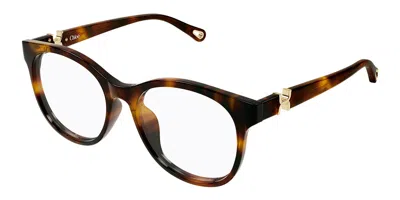 Chloé Ch0375o 002 Women's Glasses Tortoiseshell Size 54 - Free Lenses - Blue Light Block Available In Brown