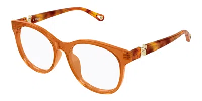 Chloé Ch0375o 004 Women's Glasses Brown Size 54 - Free Lenses - Blue Light Block Available In Pink