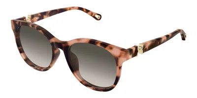Chloé Ch0375sk Asian Fit 002 Women's Sunglasses Tortoiseshell Size 56 In Metallic