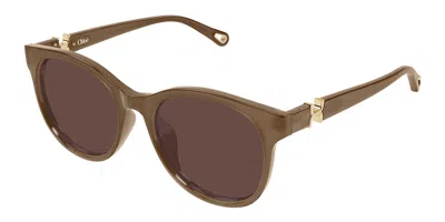 Chloé Ch0375sk Asian Fit 004 Women's Sunglasses Brown Size 56