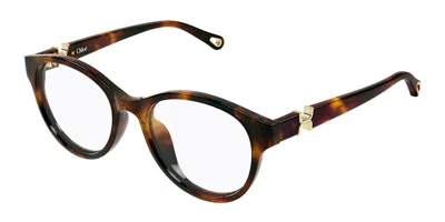 Chloé Ch0376oa Asian Fit 002 Women's Glasses Tortoiseshell Size 53 - Free Lenses - Blue Light Block Availa In Burgundy
