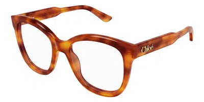 Chloé Ch0378o 002 Women's Glasses Tortoiseshell Size 54 - Free Lenses - Blue Light Block Available In Neutral