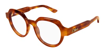 Chloé Ch0379o 002 Occhiali Da Vista Tartarugatishell Per Donna (solo Montatura) In Purple