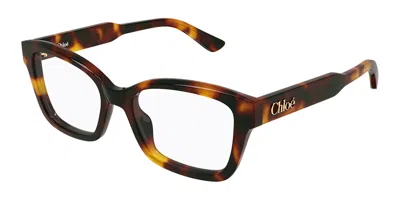 Chloé Ch0380o 002 Women's Glasses Tortoiseshell Size 51 - Free Lenses - Blue Light Block Available In Brown