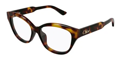 Chloé Ch0381ol Asian Fit 007 Women's Glasses Tortoiseshell Size 54 - Free Lenses - Blue Light Block Availa In Brown