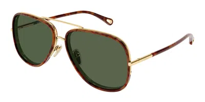 Chloé Ch0382s 003 Women's Sunglasses Gold Size 60 In Brown