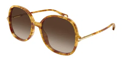 Chloé Ch0383s 002 Occhiali Da Sole Tartarugatishell Per Donna In White