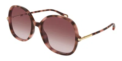 Chloé Ch0383s 004 Women's Sunglasses Tortoiseshell Size 57 In Pink