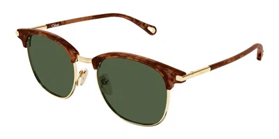 Chloé Ch0384s 003 Women's Sunglasses Gold Size 52 In Brown