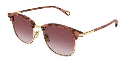 Chloé Ch0384s 004 Women's Sunglasses Gold Size 52 In Brown