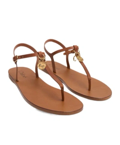 Chloé Charms Leather Thong Sandals In Brown