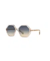 Chloé Ch0008s Acetate Geometric-frame Sunglasses In Pink
