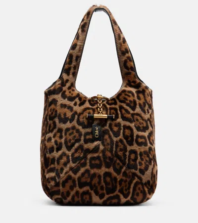 Chloé Balloon Small Calf Hair Shoulder Bag In Brown