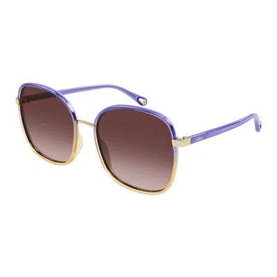 Chloé Ch0031s 015 In Purple