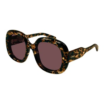 Chloé Ch0153s 010