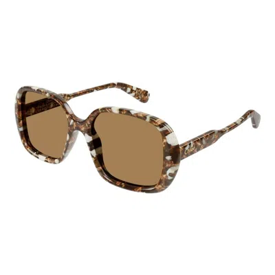 Chloé Chloe Brown Square Ladies Sunglasses Ch0222s 005 55