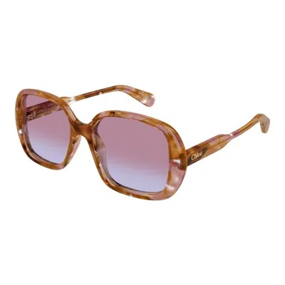 Chloé Ch0222s 006 In Brown