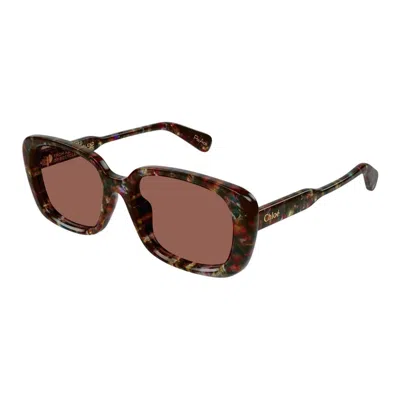 Chloé Ch0225sk 004