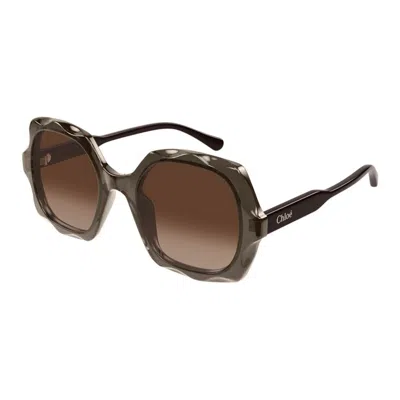 Chloé Ch0226s 007 In Brown