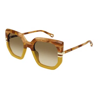 Chloé Women's Chloã© Ch0240s 004 Sunglasses In Brown
