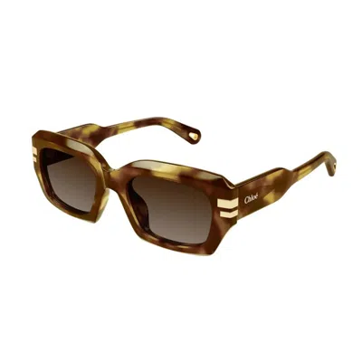 CHLOÉ CHLOÉ CHLOÉ CH0256S 002