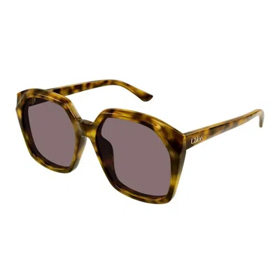 Chloé Acetate Havana Sunglasses In Yellow