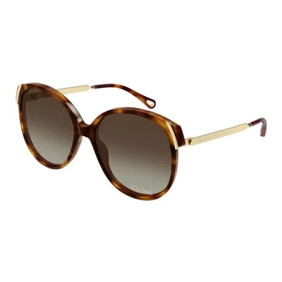 Chloé Ch0285s 002 In Brown