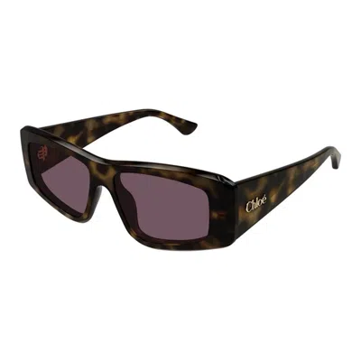 Chloé Ch0299s 002 In Brown