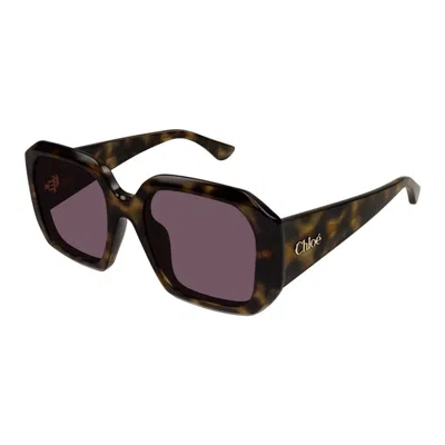 Chloé Ch0300s 002 In Brown