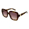 Chloé Chloe Women Printed Acetate Marcie Sunglasses In Brown
