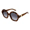 Chloé Ch0302s 002 In Brown