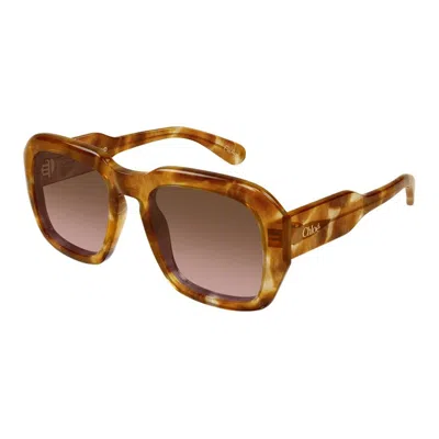 Chloé Ch0310s 004 In Brown