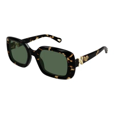 Chloé Ch0333s 002 In Brown