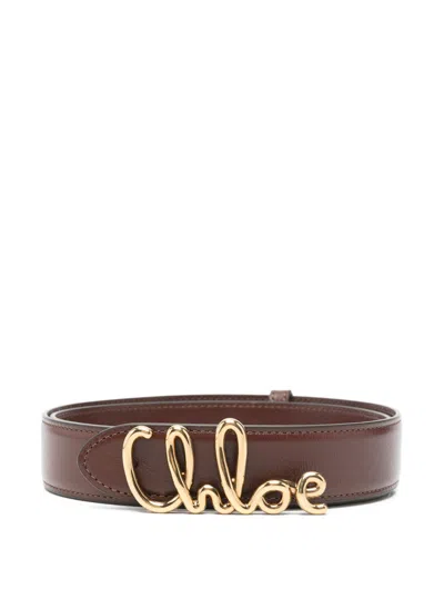 Chloé Chloè  Iconic Leather Belt In Brown