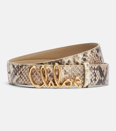 Chloé Iconic Snake-effect Leather Belt In Gray