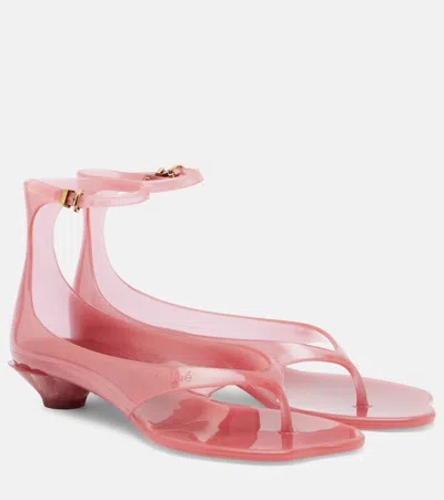 Chloé Jelly Tpu夹趾凉鞋 In Pink