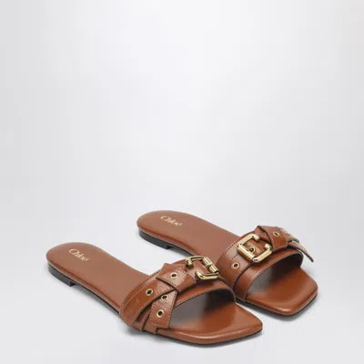 Chloé Clay Brown Low Heel Shoes In Leather Women