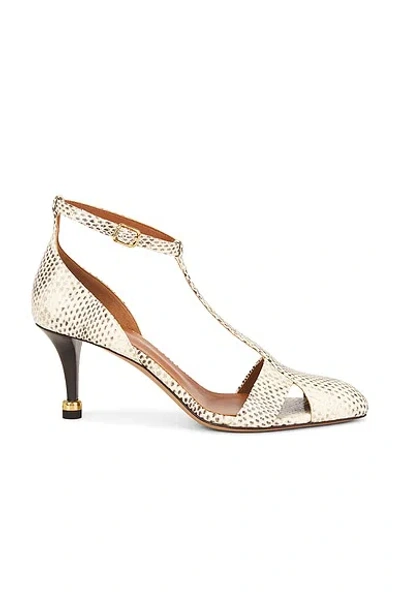 Chloé Cleia Kitten Heel In Silver
