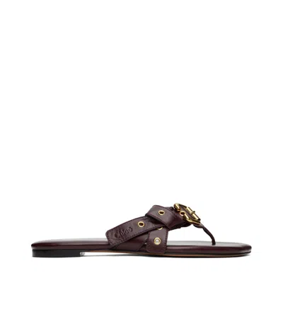 Chloé Clim-toed Sandals In Black