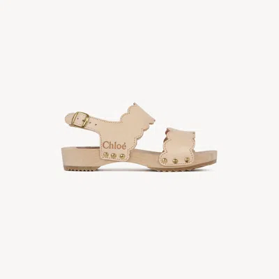 Chloé Clogs Pink Size 2y 100% Bovine Leather In Neutral