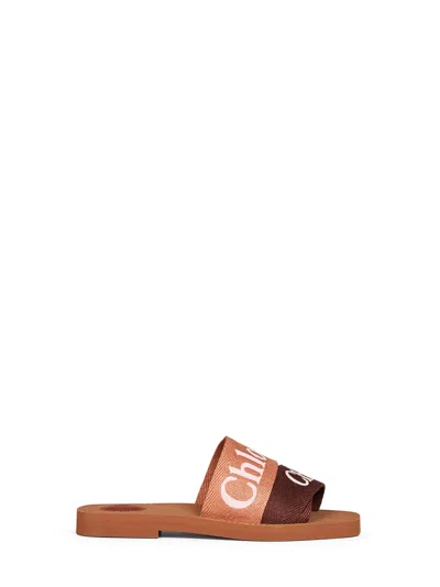 Chloé Coffee And Pink Woody Flat Sandals In Brown