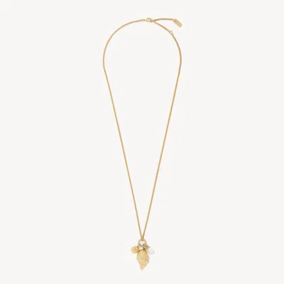 Chloé Collier Pendentif  Shells Femme Or Taille Onesize 100% Laiton, Pmma - Polyméthilméthacrilate In Gold