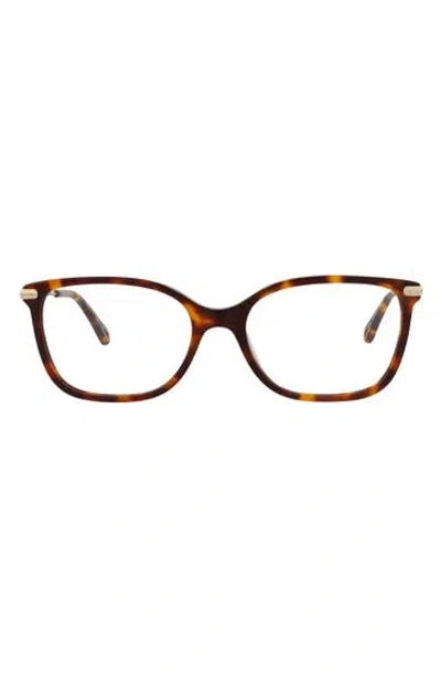 Chloé Core 51mm Square Optical Glasses In Havana Gold Transparent