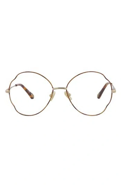 Chloé Core 53mm Round Optical Glasses In Havana Gold Transparent