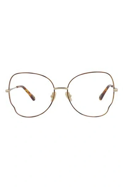 Chloé Core 56mm Cat Eye Optical Glasses In Havana Gold Transparent