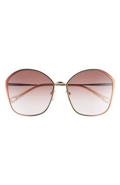 Chloé Core 61mm Round Sunglasses In Brown Brown Brown