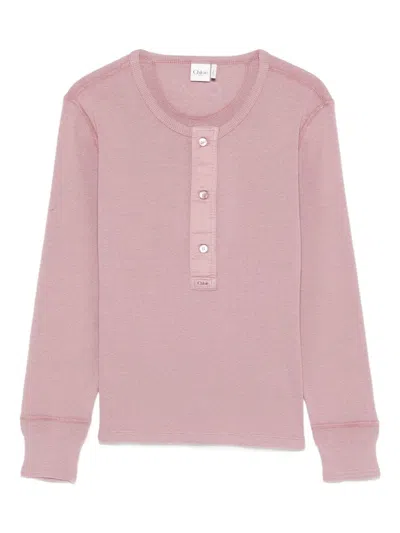 Chloé Chloè Cotton Crewneck Sweater In Purple