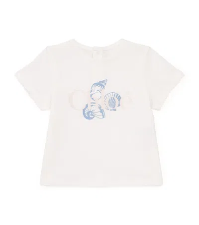 Chloé Kids' Cotton Shell Logo T-shirt In White